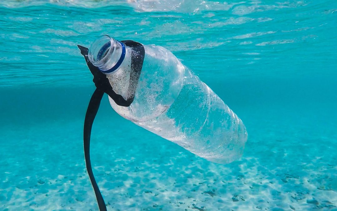 How Do We Finally Clean Up Our Polluted Oceans? This Company May Have an Answer